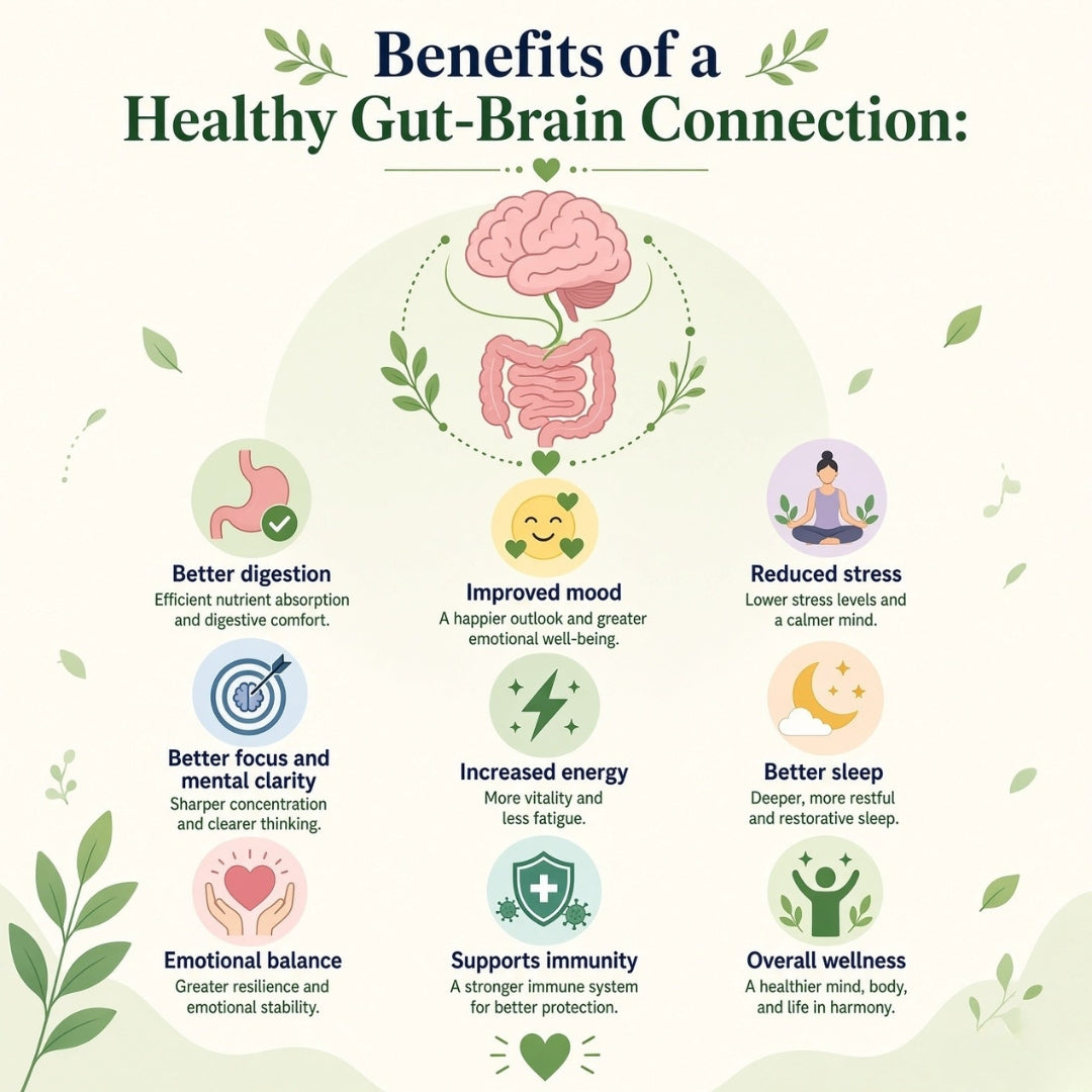 Benefits of a Healthy Gut-Brain Connection