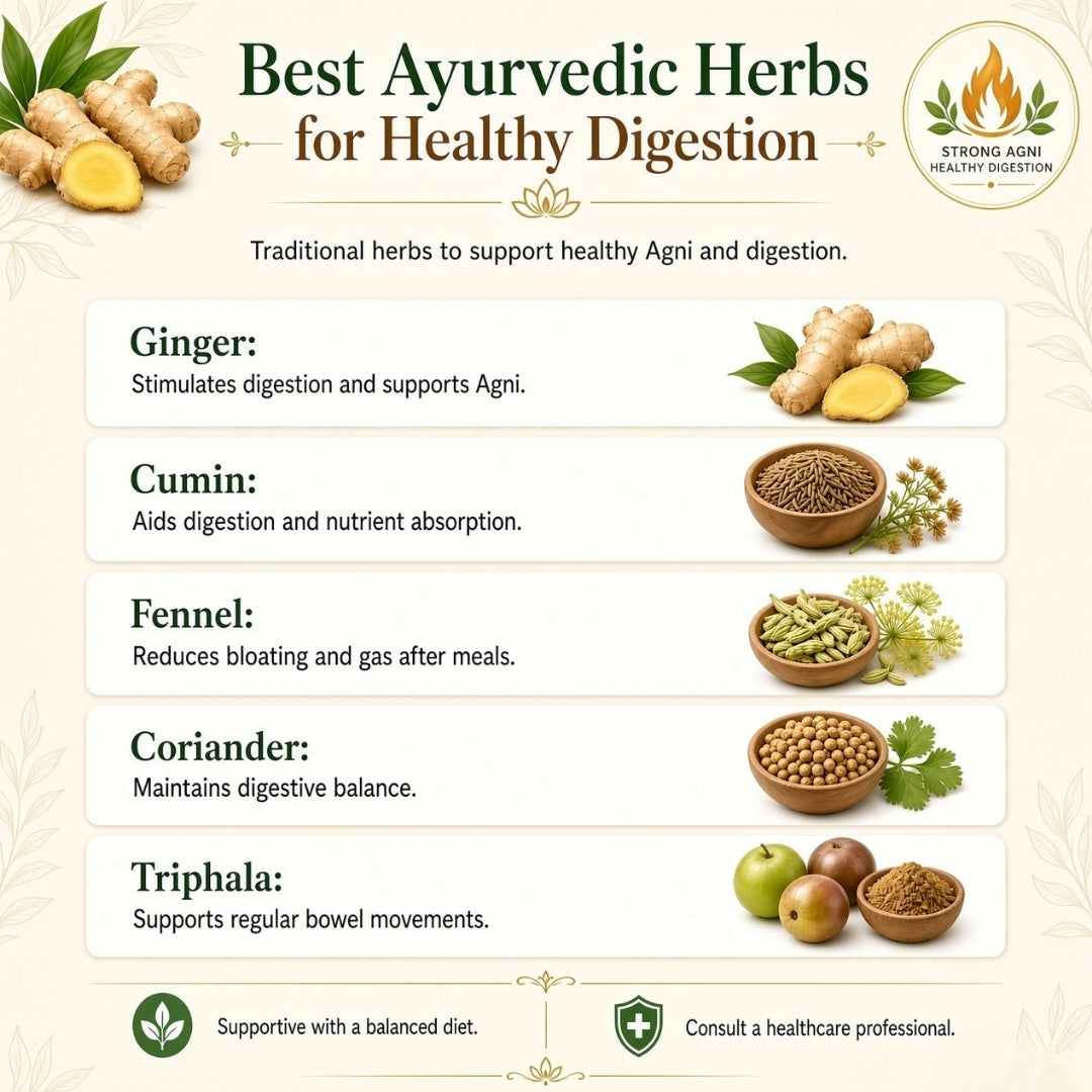 Best Ayurvedic Herbs for Healthy Digestion