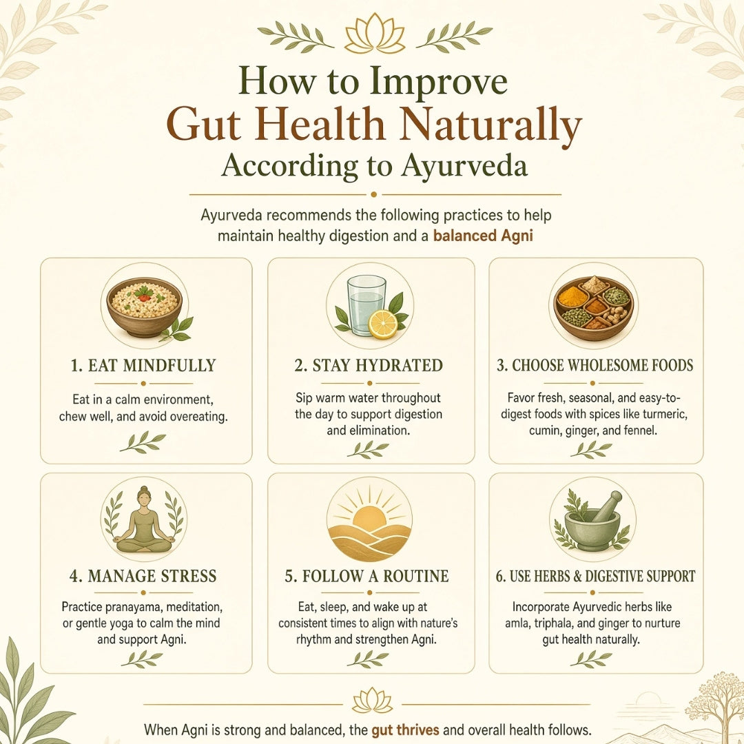 How to Improve Gut Health Naturally According to Ayurveda