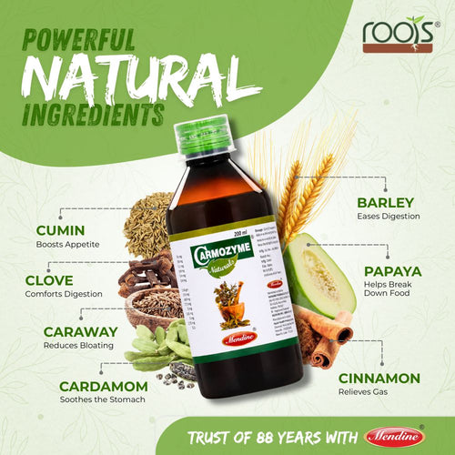 Carmoyzme Naturals Ayurvedic Digestive Syrup for Gas, Bloating & Indigestion