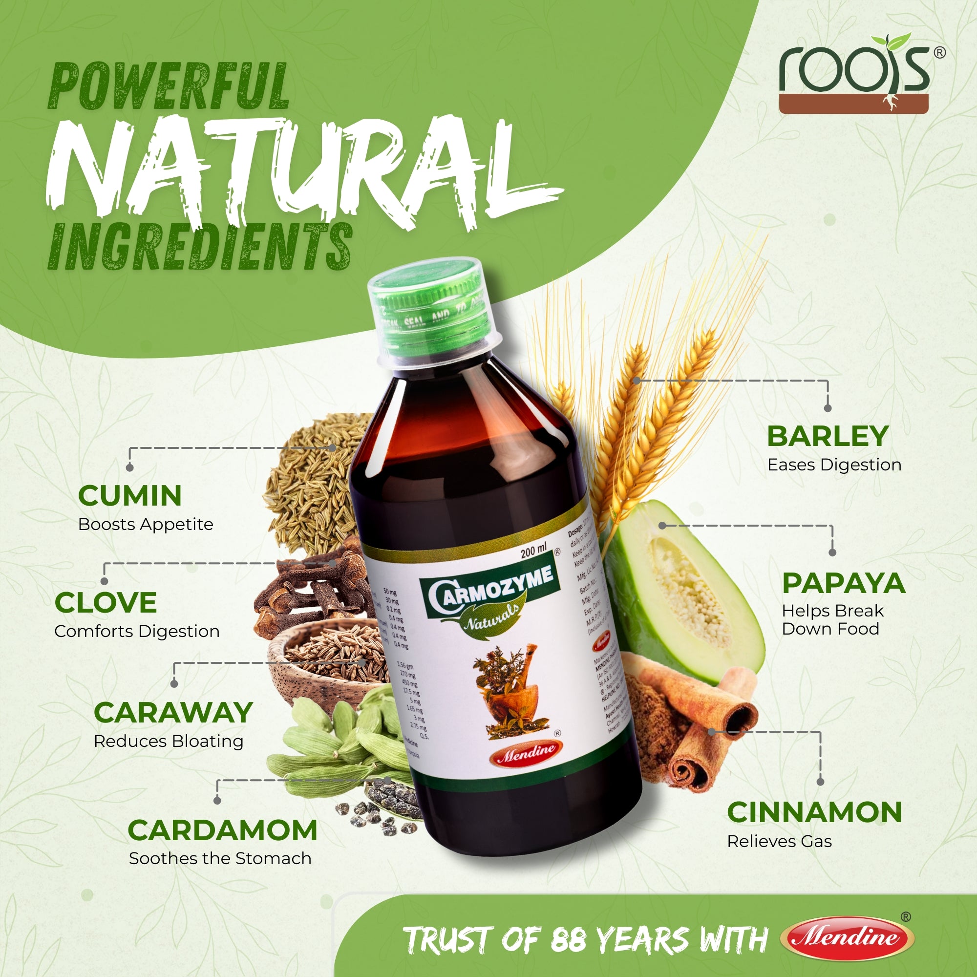 Carmozyme Naturals - Ayurvedic Digestive Syrup