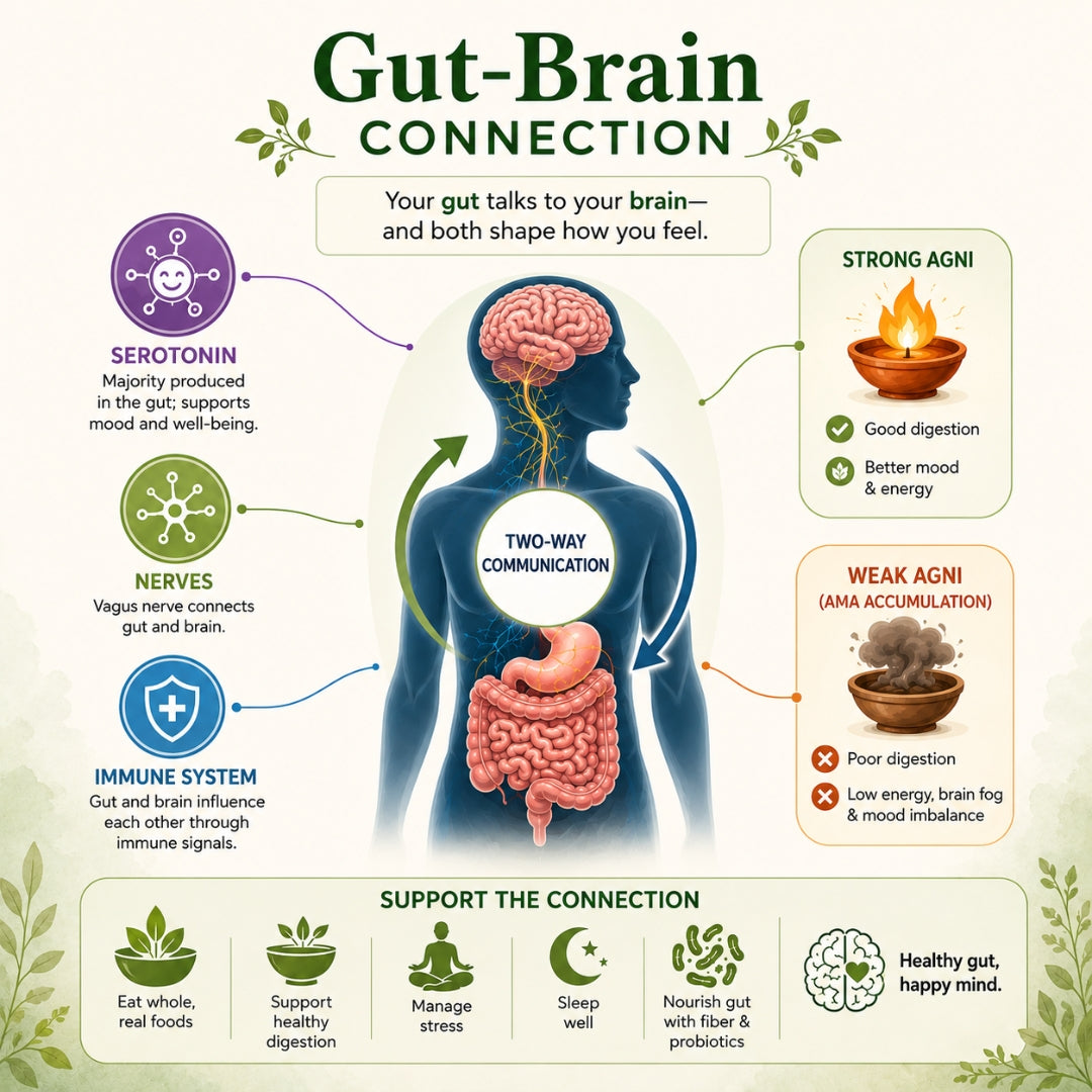 What Is the Gut-Brain Connection