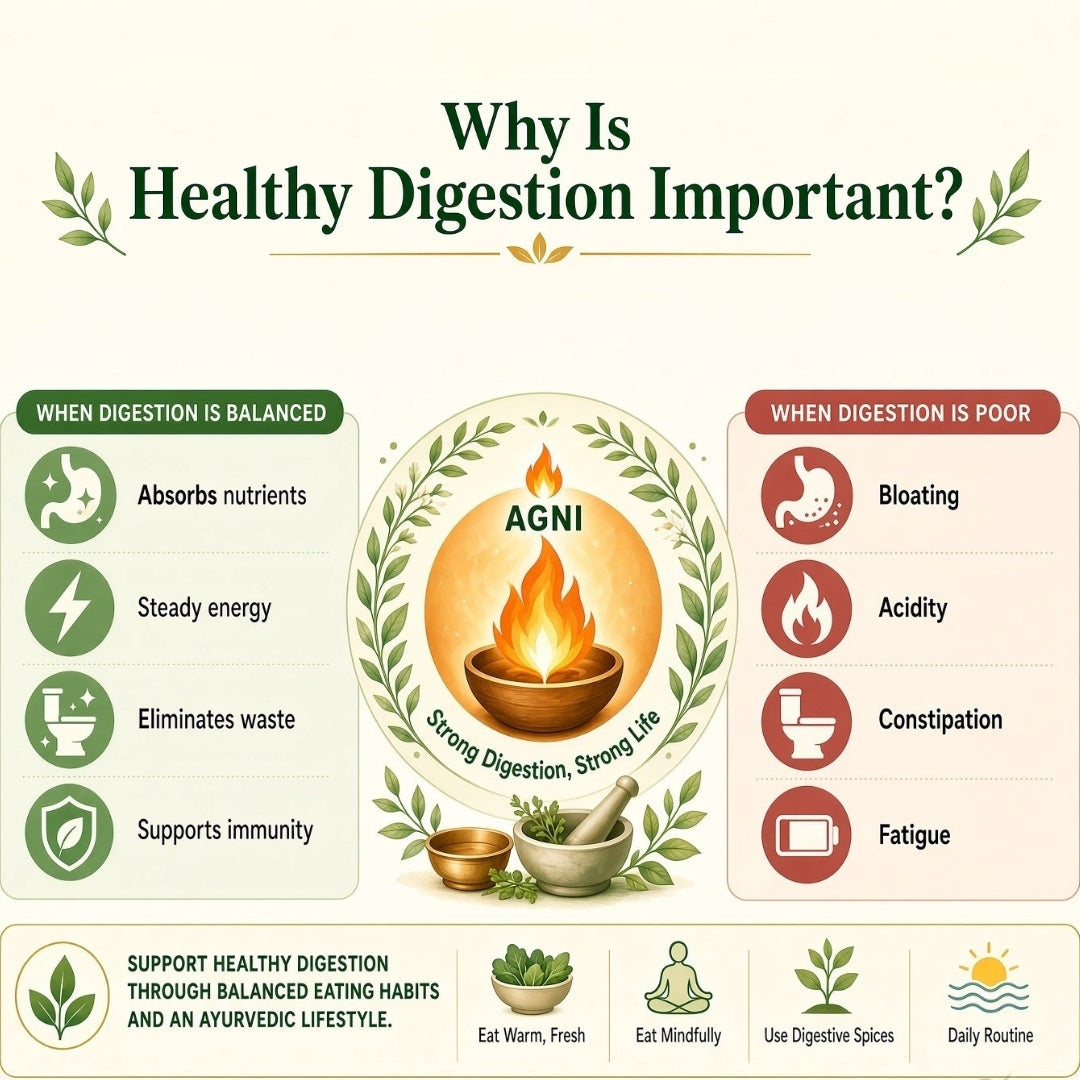 Why Is Healthy Digestion Important