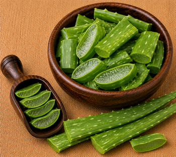GhritKumari / Aloe Vera