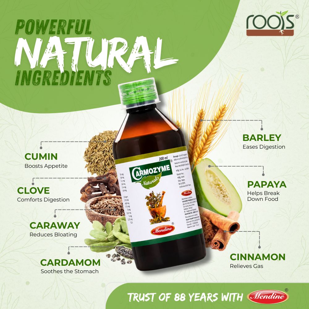 Key herbal ingredients in Carmozyme Naturals Ayurvedic digestive syrup – cumin, clove, cardamom, papaya and cinnamon and more