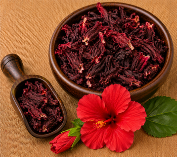 Japa Pushpa / Hibiscus