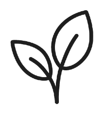 leaf resembles Roots by Mendine products are made of pure plant extract from the nature