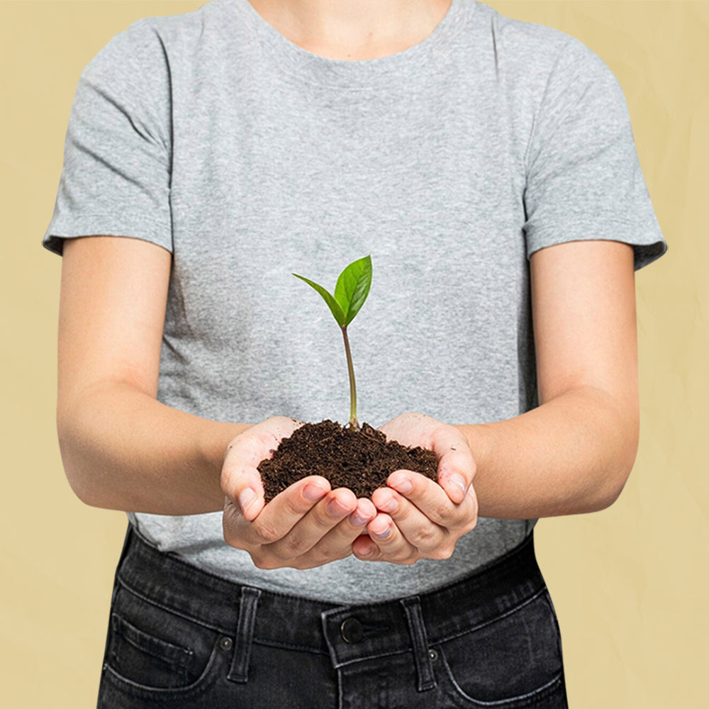 Roots by Mendine-trusted Ayurvedic wellness brand with heritage since 1937 offering natural digestive care, cough relief and herbal healthcare products