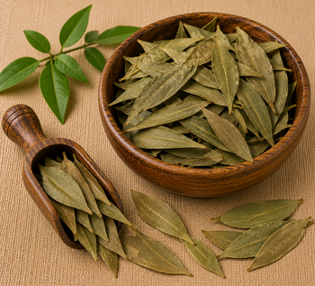 Talispatra / Talish Patra