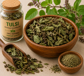 Tulasi / Tulsi